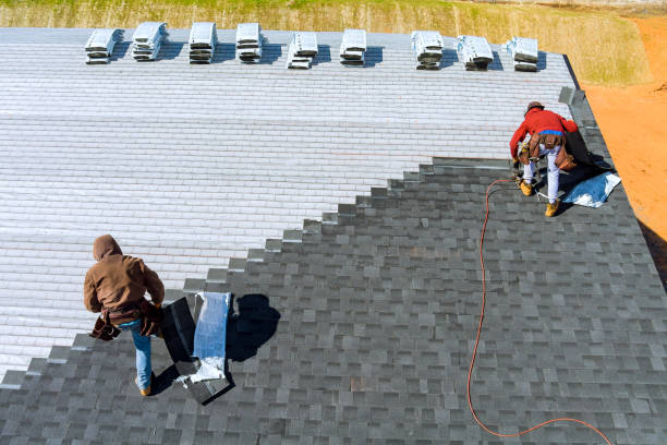 Best Roof Maintenance Services  in Belfair, WA