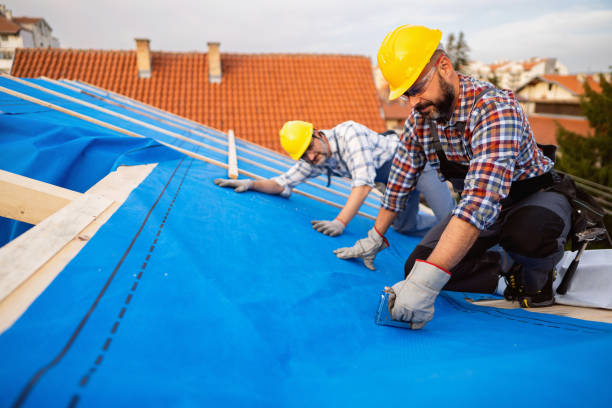 Best Roof Gutter Cleaning  in Belfair, WA